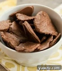Chocolate Covered Potato Chips