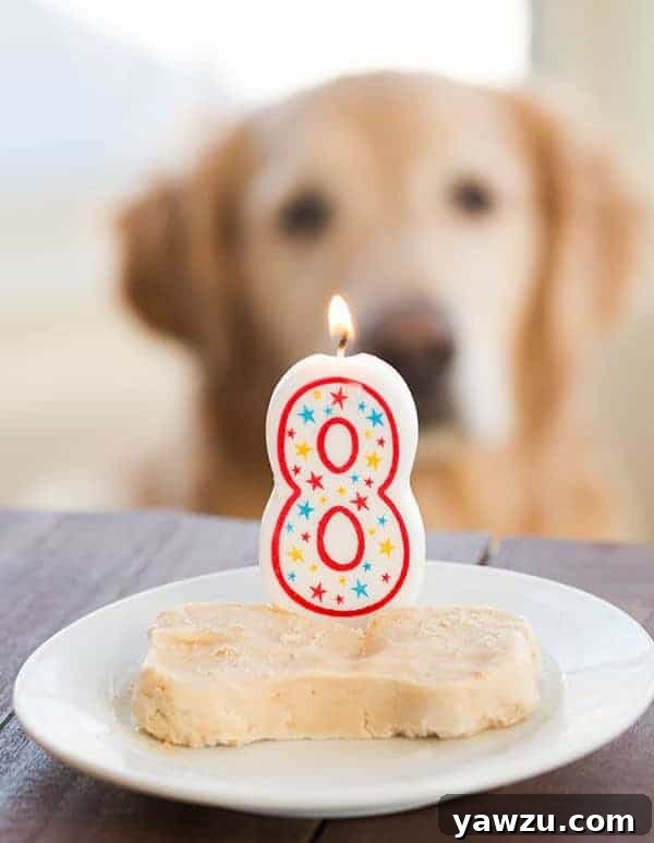 Frozen Peanut Butter-Yogurt Dog Treats for Einstein's 8th Birthday!