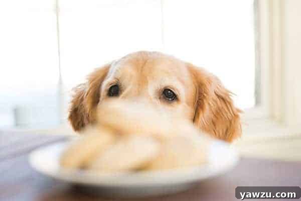 Mixing peanut butter and yogurt for dog treats
