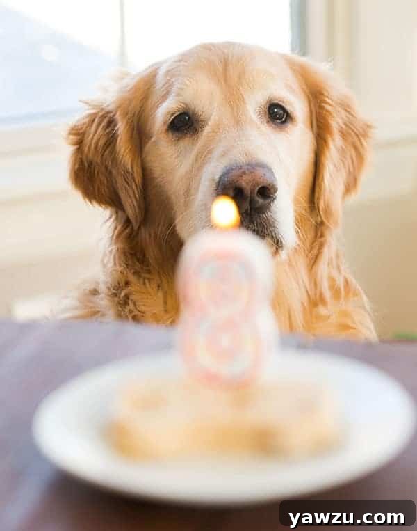 Einstein posing with his birthday treat and candle