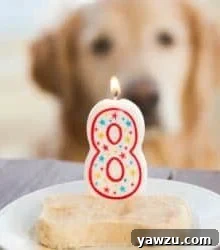 Frozen Peanut Butter-Yogurt Dog Treats