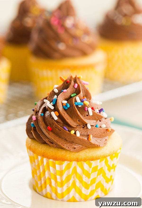 Classic Yellow Cupcakes with Decadent Chocolate Buttercream Frosting