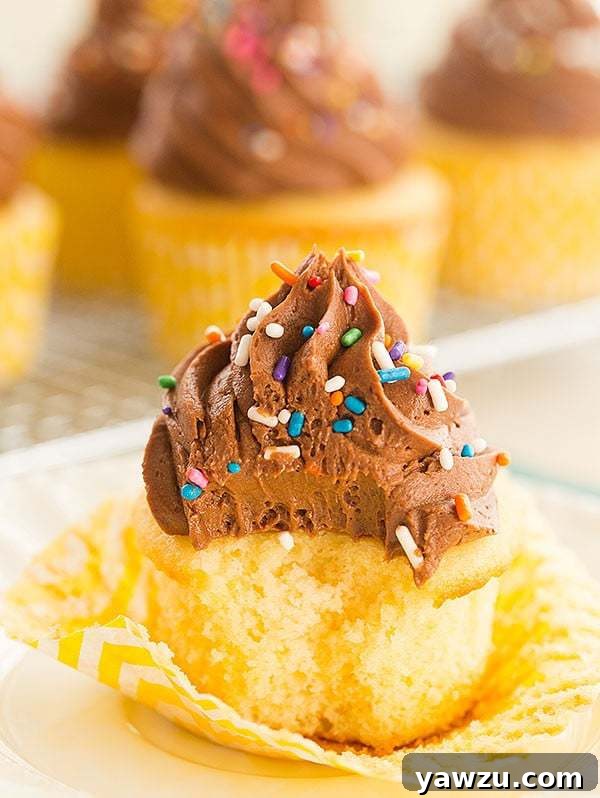 Close-up of a frosted Yellow Cupcake with Chocolate Buttercream