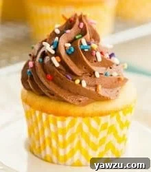Yellow Cupcakes with Chocolate Frosting