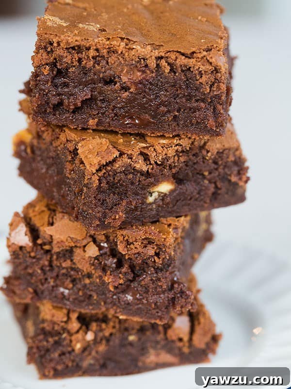 Decadent Fudgy Triple Chocolate Chip Brownies, perfect for any occasion.