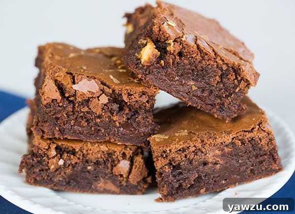 Freshly baked Triple Chocolate Chip Brownies, ready to be sliced and enjoyed.