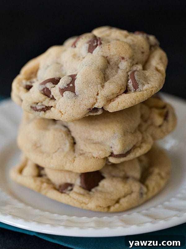Soft and Chewy Peanut Butter Chocolate Chip Cookies