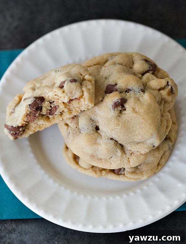 Delicious Soft and Chewy Peanut Butter-Chocolate Chip Cookies