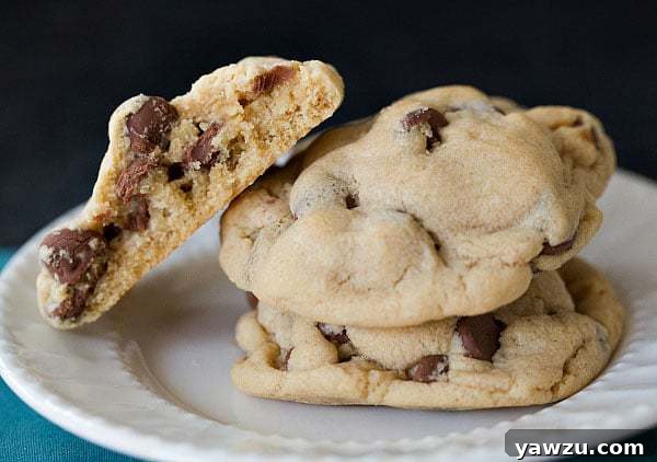 Close-up of Soft and Chewy Peanut Butter Chocolate Chip Cookies