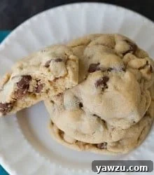 Soft & Chewy Peanut Butter-Chocolate Chip Cookies
