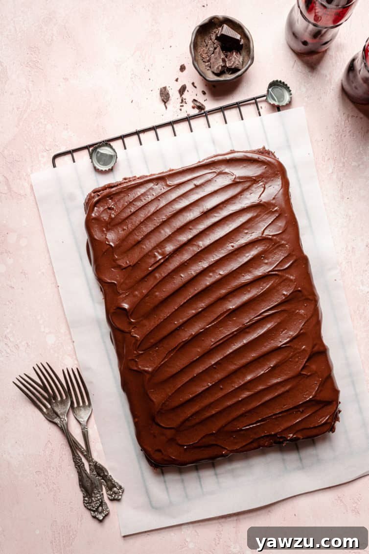 An overhead photo of a frosted chocolate cake.