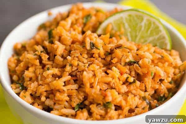 Close-up of perfectly cooked Mexican Rice, highlighting its vibrant color and fluffy texture.