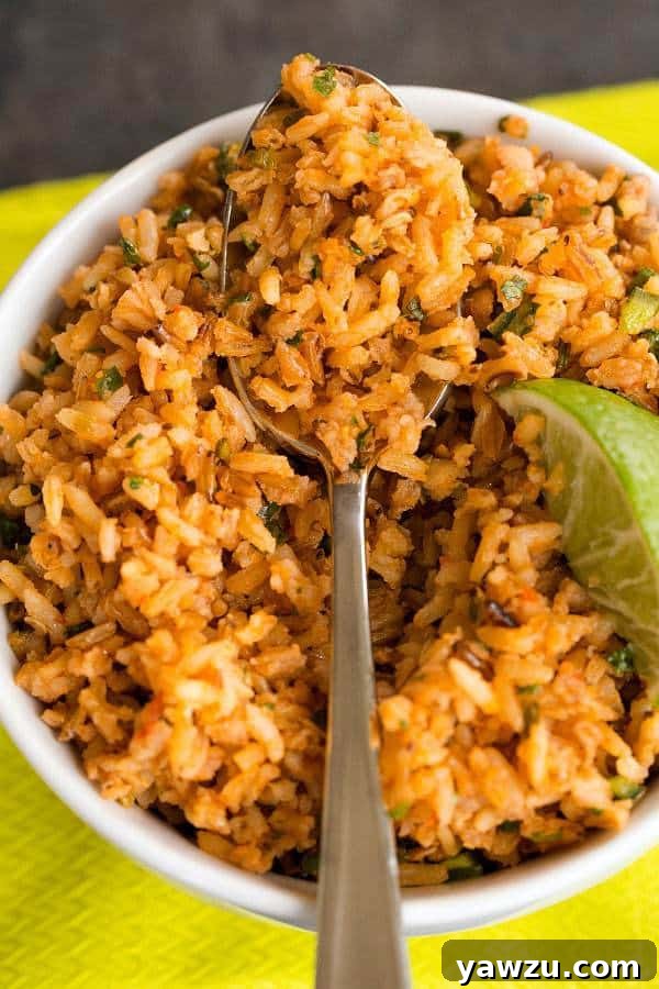 Plated Mexican Rice garnished with fresh cilantro, ready to be served as a vibrant side.