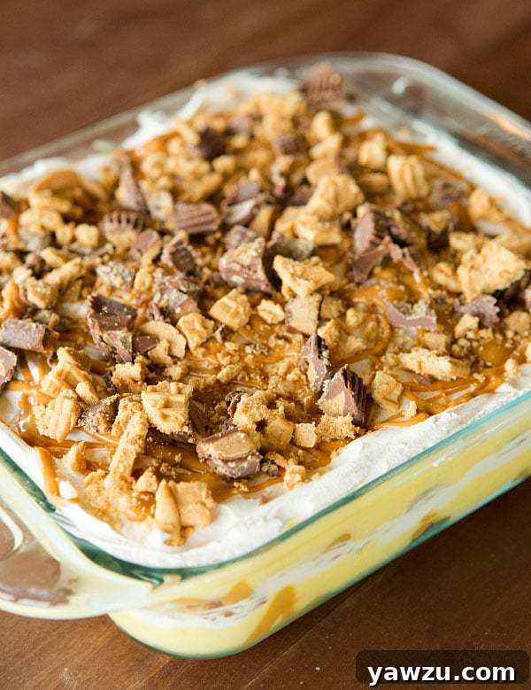 Delicious layers of Nutter Butter cookies, creamy peanut butter pudding, and Cool Whip in a No-Bake Peanut Butter Lover's Icebox Cake