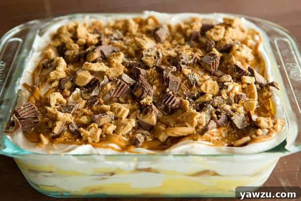 Close-up of the rich, layered texture of the No-Bake Peanut Butter Lover's Icebox Cake, featuring visible Nutter Butters and peanut butter cups