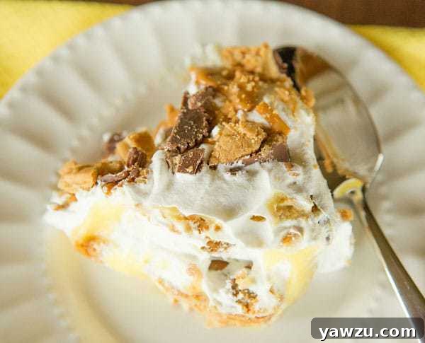A serving of the No-Bake Peanut Butter Lover's Icebox Cake on a plate, garnished with extra peanut butter cups and Nutter Butters