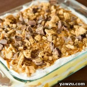 Peanut Butter Lover's No-Bake Icebox Cake