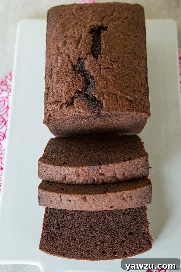 Rich and Moist Chocolate Pound Cake Recipe