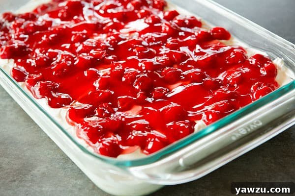 Fran's Walnut-Cherry Cheesecake - Almost no-bake (just bake the crust!) - a perfect summer dessert! | browneyedbaker.com