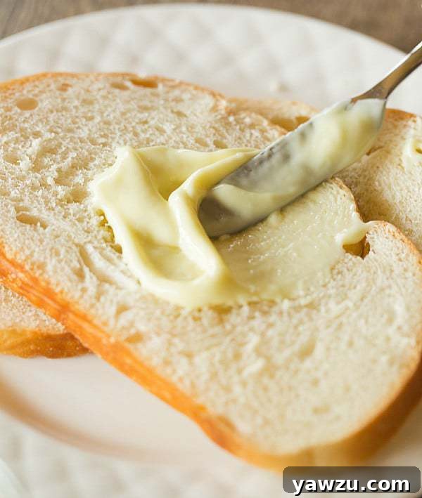 DIY Mayonnaise Recipe | Simple Ingredients for Creamy Results