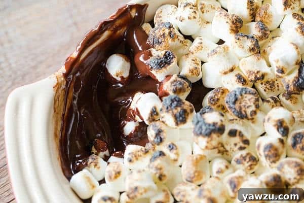 Best No-Bake S'mores Dip for Parties