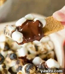 No-Bake S'mores Dip Recipe Image