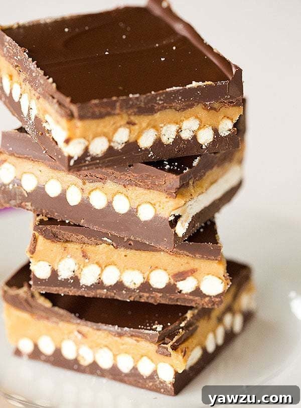 Delicious No-Bake Chubby Hubby Chocolate Bars