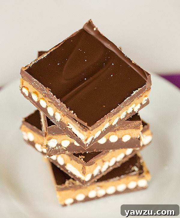 Easy No-Bake Chocolate Peanut Butter Pretzel Bars