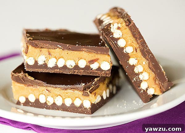 Close-up of No-Bake Chubby Hubby Chocolate Bars