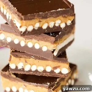 No-Bake Chubby Hubby Chocolate Bars