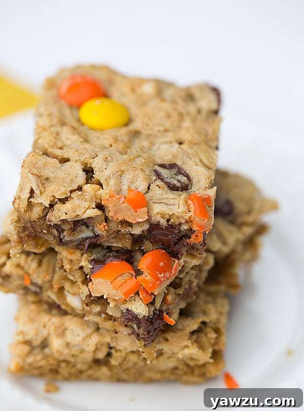 Flourless Peanut Butter-Chocolate Chip Oat Bars | browneyedbaker.com