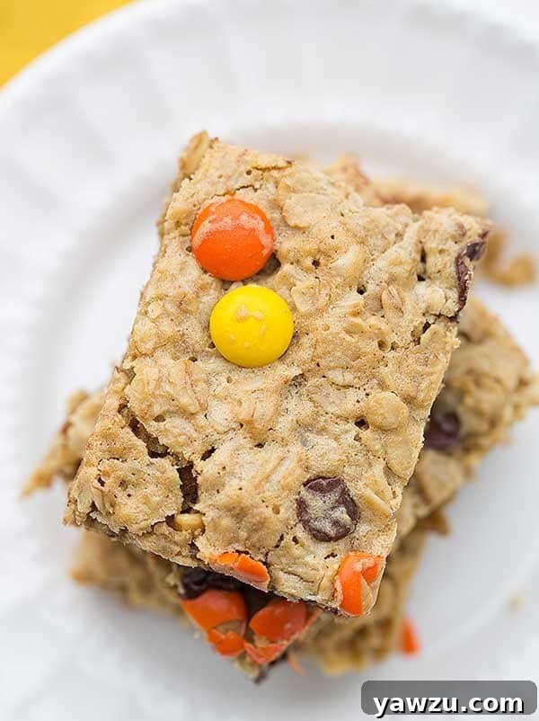 Flourless Peanut Butter-Chocolate Chip Oat Bars | browneyedbaker.com
