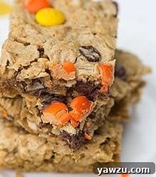 Flourless Peanut Butter Chocolate Chip Oat Bars