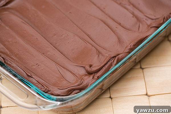 Rich Chocolate Cake with Coffee-Infused Whipped Ganache