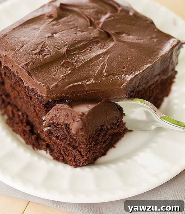 Close-up of Mocha Ganache on Chocolate Cake