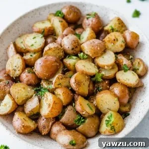 A bowl of roasted red potatoes, ready to be served.
