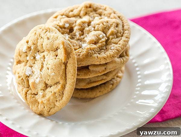 Close-up of Salted Peanut Butter-Butterscotch Chip Cookies