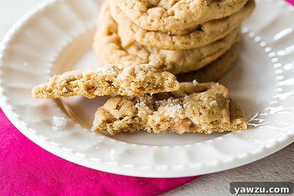 Freshly Baked Salted Peanut Butter-Butterscotch Chip Cookies