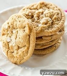 Salted Peanut Butter-Butterscotch Chip Cookies recipe image