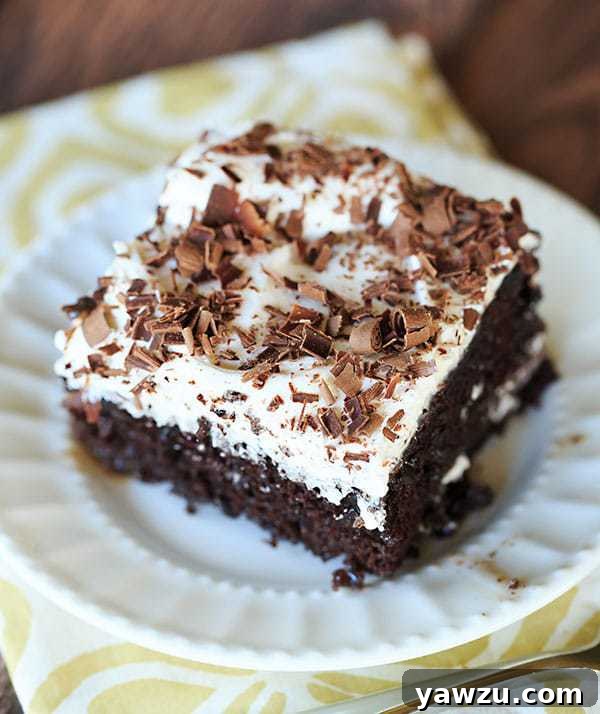 Decadent Chocolate Mudslide Poke Cake - A moist chocolate cake generously infused with a luscious blend of sweetened condensed milk, rich hot fudge, smooth vodka, exotic Kahlua, and creamy Baileys Irish Cream. This easy-to-make dessert offers an unforgettable kick, perfect for any celebration or a delightful indulgence. | browneyedbaker.com