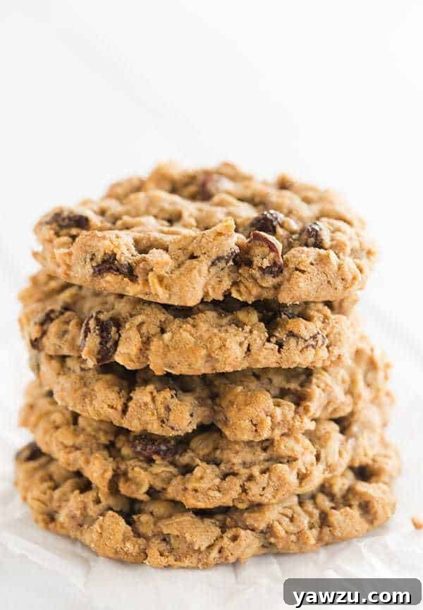 Delicious and Chewy Oatmeal Raisin Cookies from Sadelle's Bakery NYC
