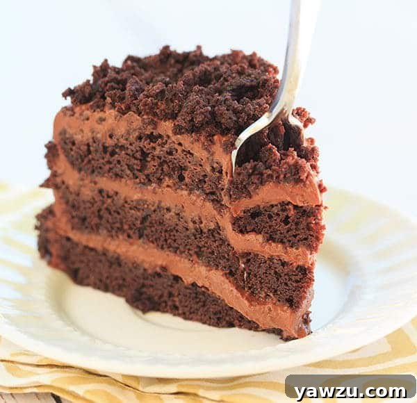 Chocolate Blackout Cake - Filled and frosted with a rich chocolate pudding and coated in cake crumbs! | browneyedbaker.com