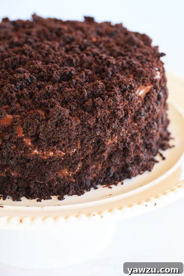 Chocolate Blackout Cake - Filled and frosted with a rich chocolate pudding and coated in cake crumbs! | browneyedbaker.com