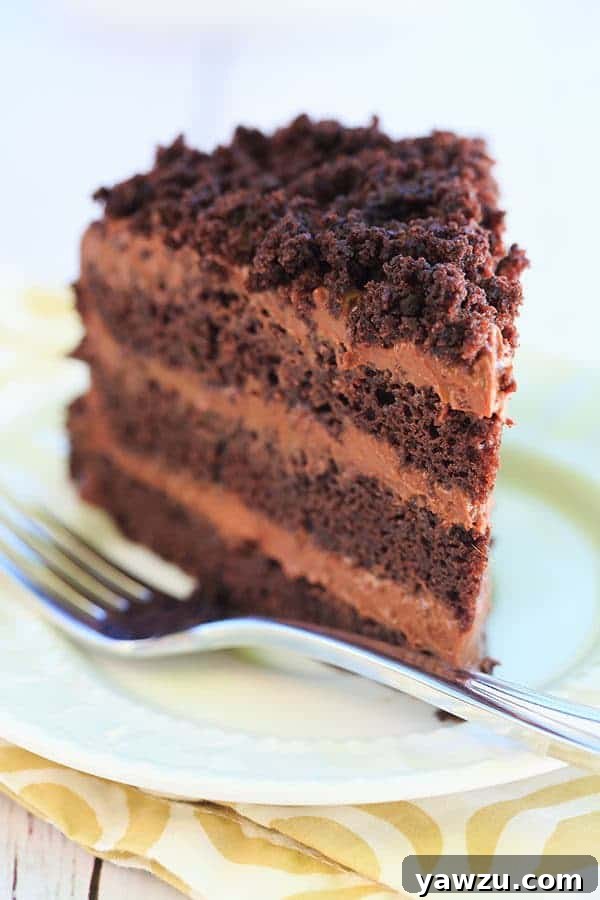 Chocolate Blackout Cake - Filled and frosted with a rich chocolate pudding and coated in cake crumbs! | browneyedbaker.com
