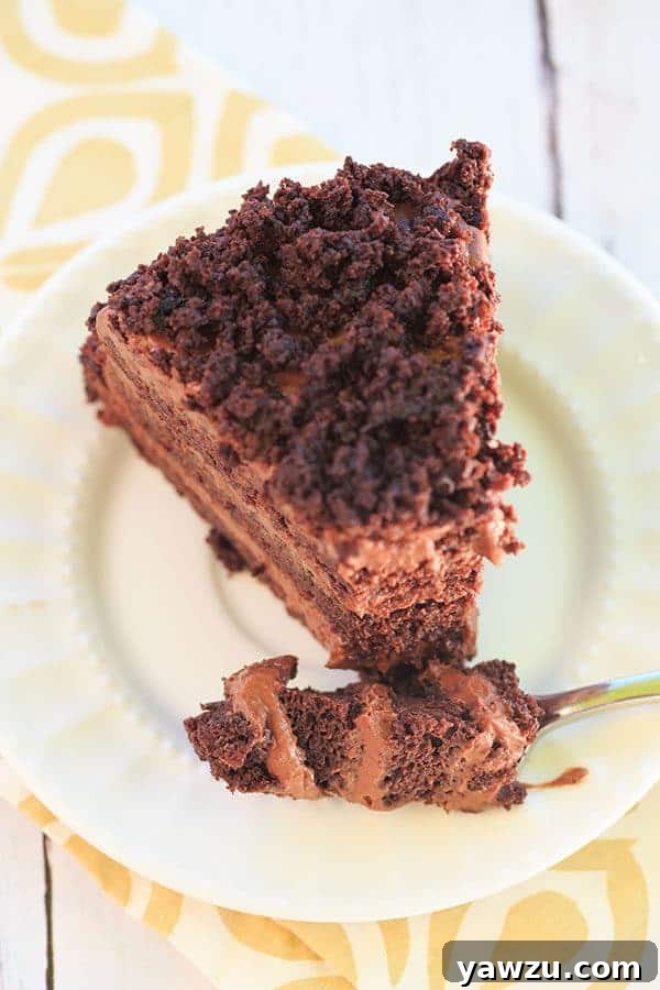 Chocolate Blackout Cake - Filled and frosted with a rich chocolate pudding and coated in cake crumbs! | browneyedbaker.com
