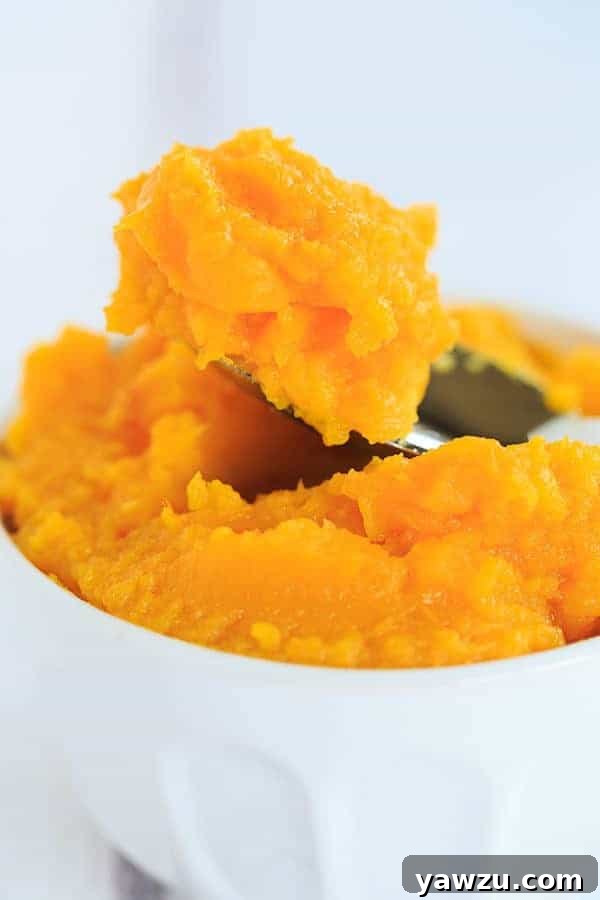 Freshly made homemade pumpkin puree in a white bowl with a spoon, garnished with cinnamon sticks and star anise, ready for baking.