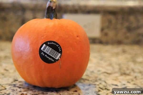 Two halves of a sugar pumpkin, seeds and pulp removed, ready for roasting.