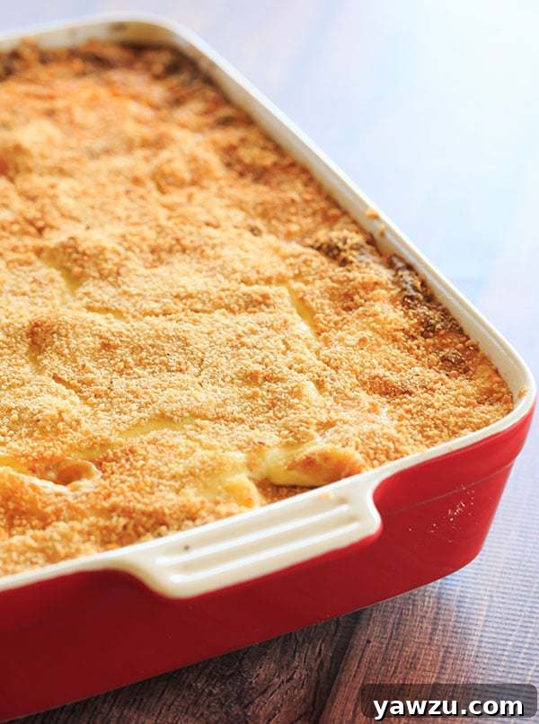 Close-up of a large baking dish filled with homemade pastitsio, highlighting the perfectly browned béchamel and the hearty layers beneath, ready for serving.