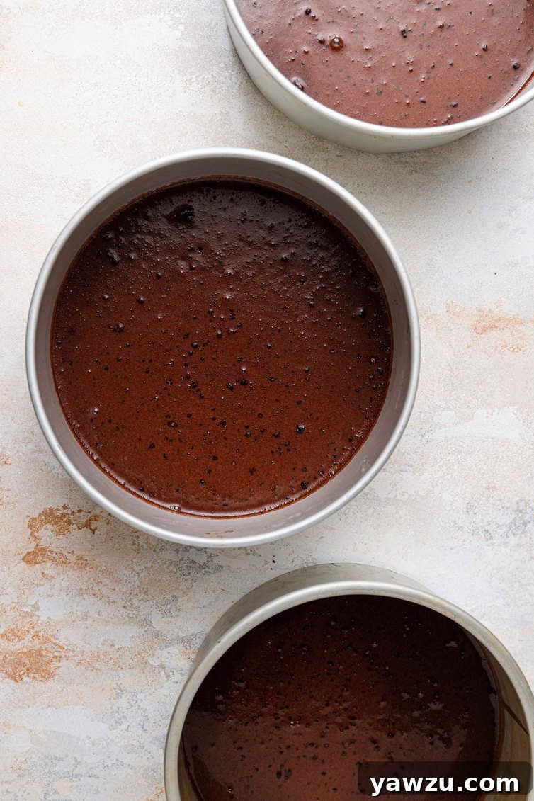 Three round cake pans, each filled with rich chocolate cake batter, ready for baking.