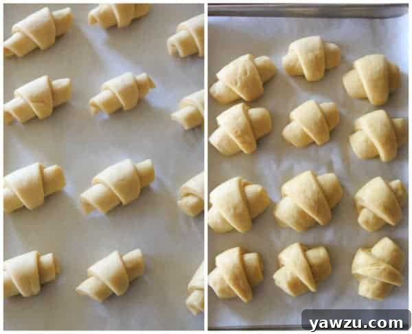 A series of beautifully shaped raw crescent rolls, perfectly arranged on a parchment-lined baking sheet, prepared for their final rise before baking.